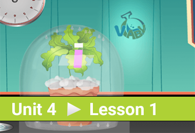 Transpiration Process in Plants